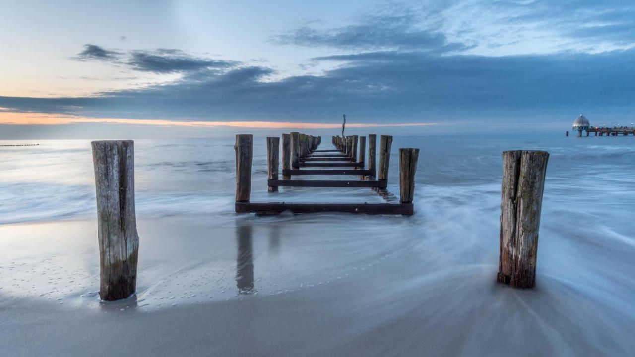 Residenz Am Strand Wohnung 1-11 Zingst Exteriör bild